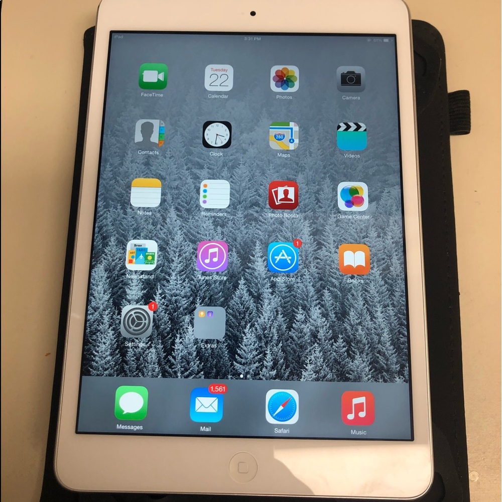iPad mini
